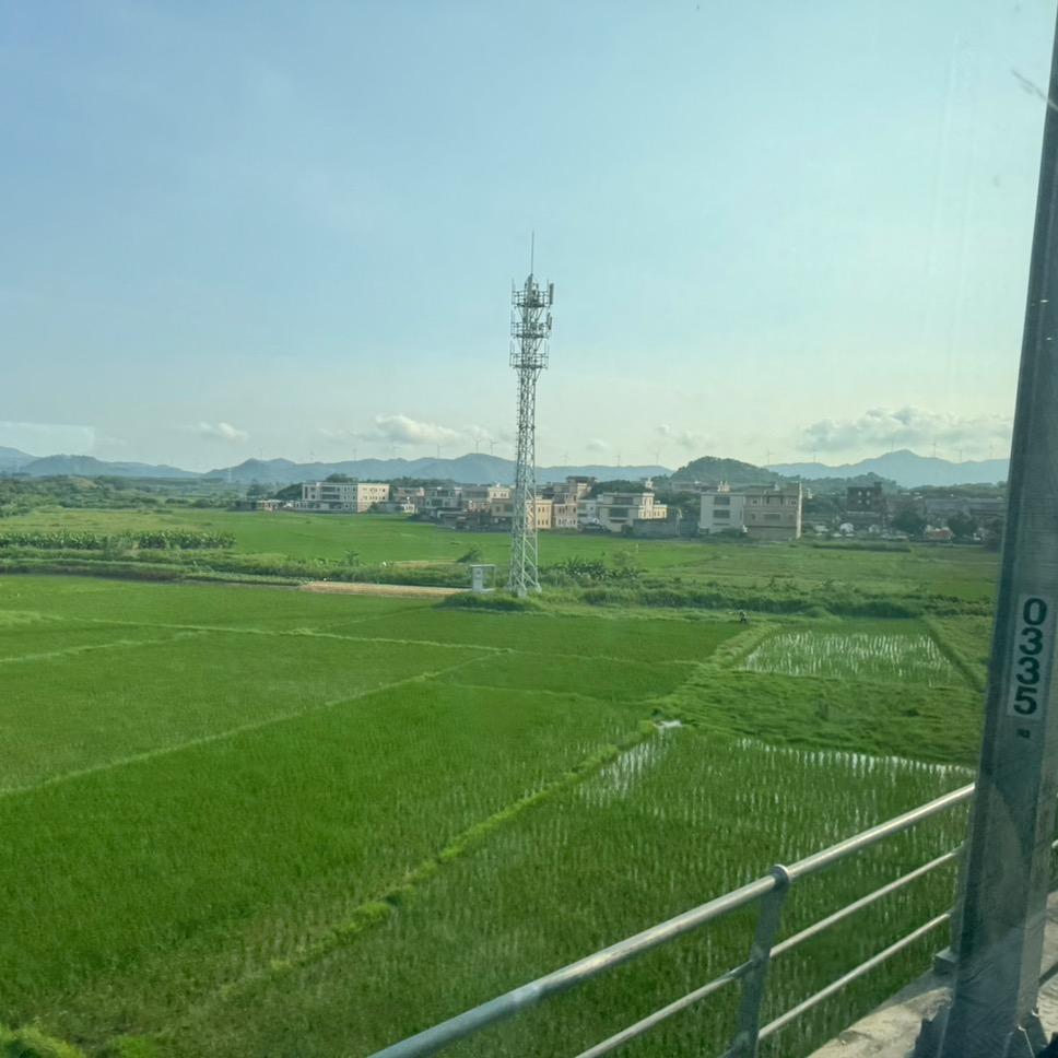 顺顺顺尼