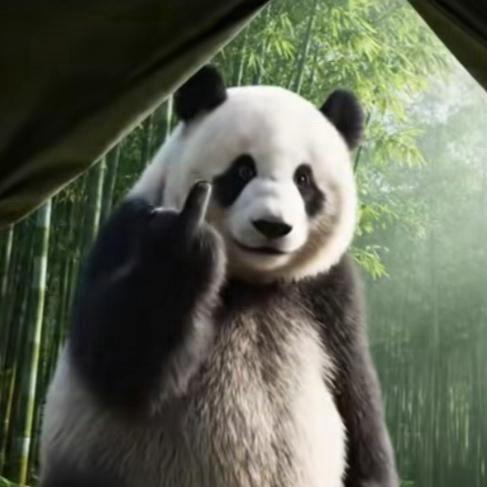 文字被隐被限流