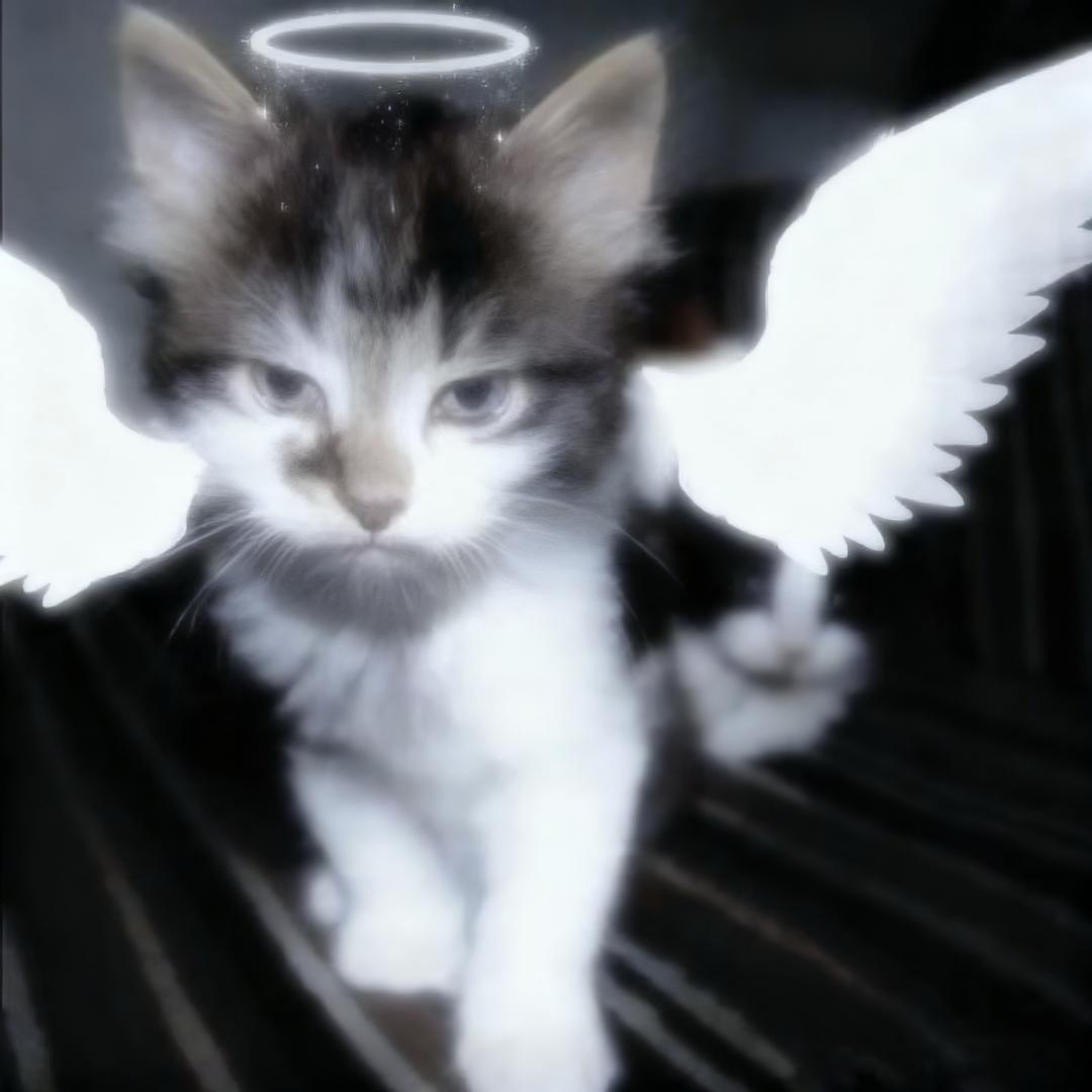 花渡（MT俱乐部）