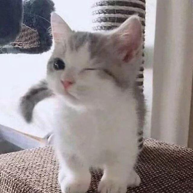 尚子