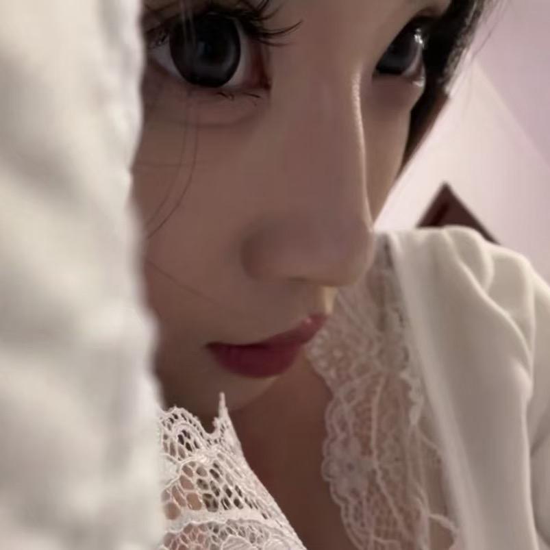 国补折叠电动车