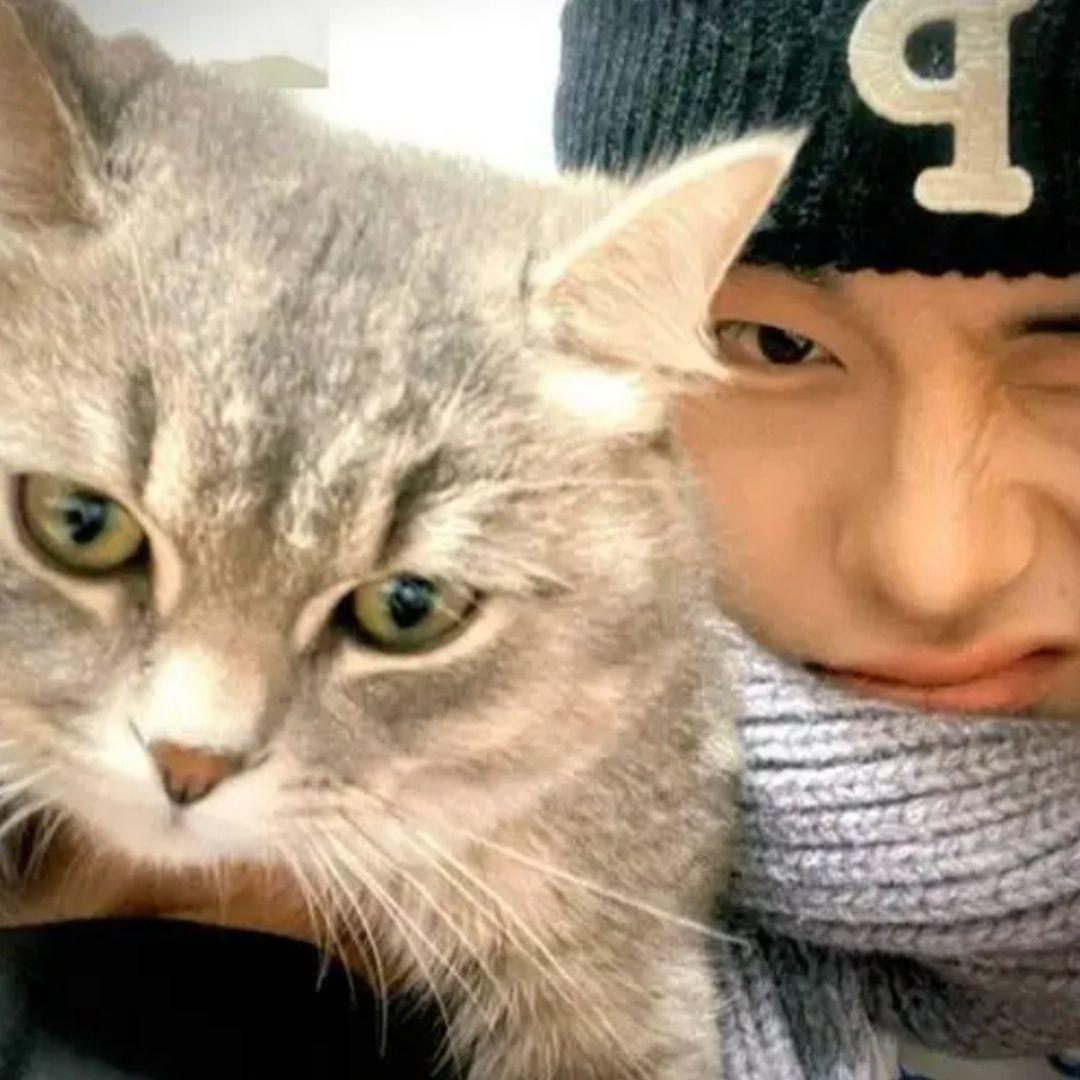 生了小马拉粑粑