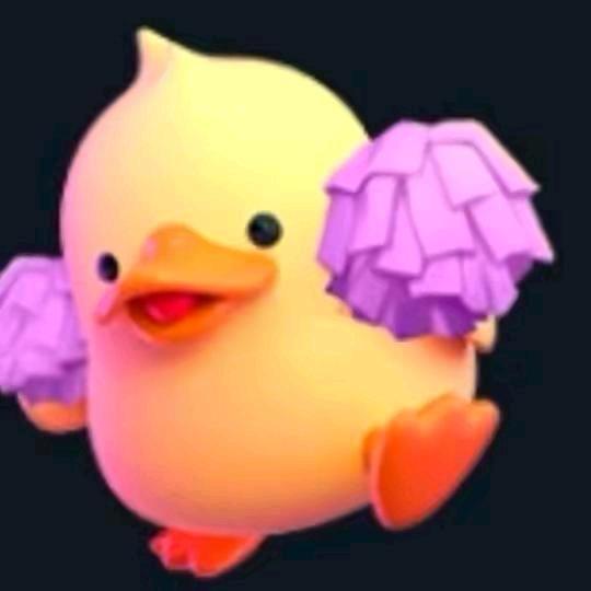 小笨笨