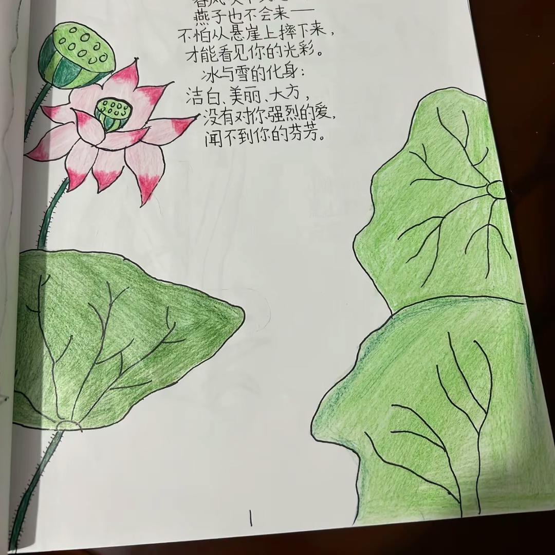 是乃妈呀！