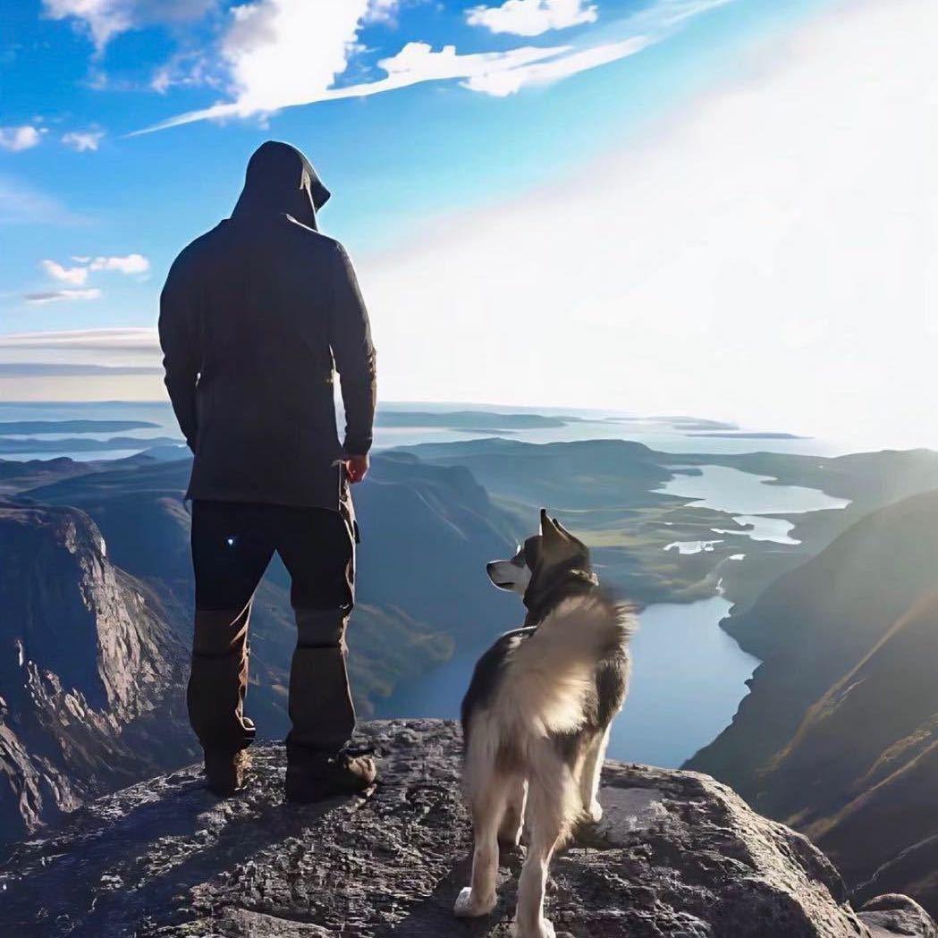 临沂老司机      🕷️　　　༽
