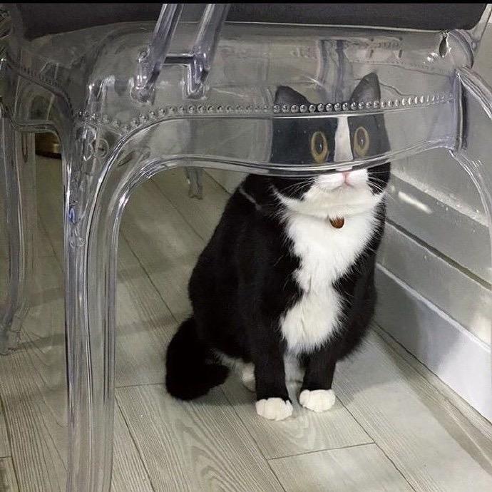 小球