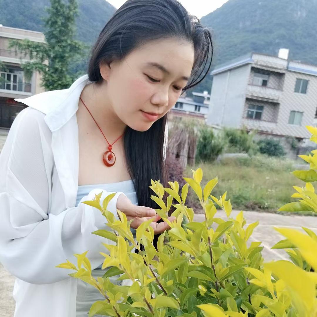 猪宝宝&
