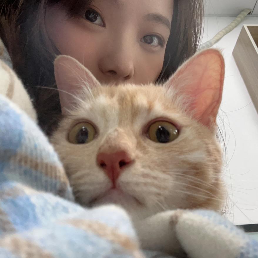 贝壳·⭐