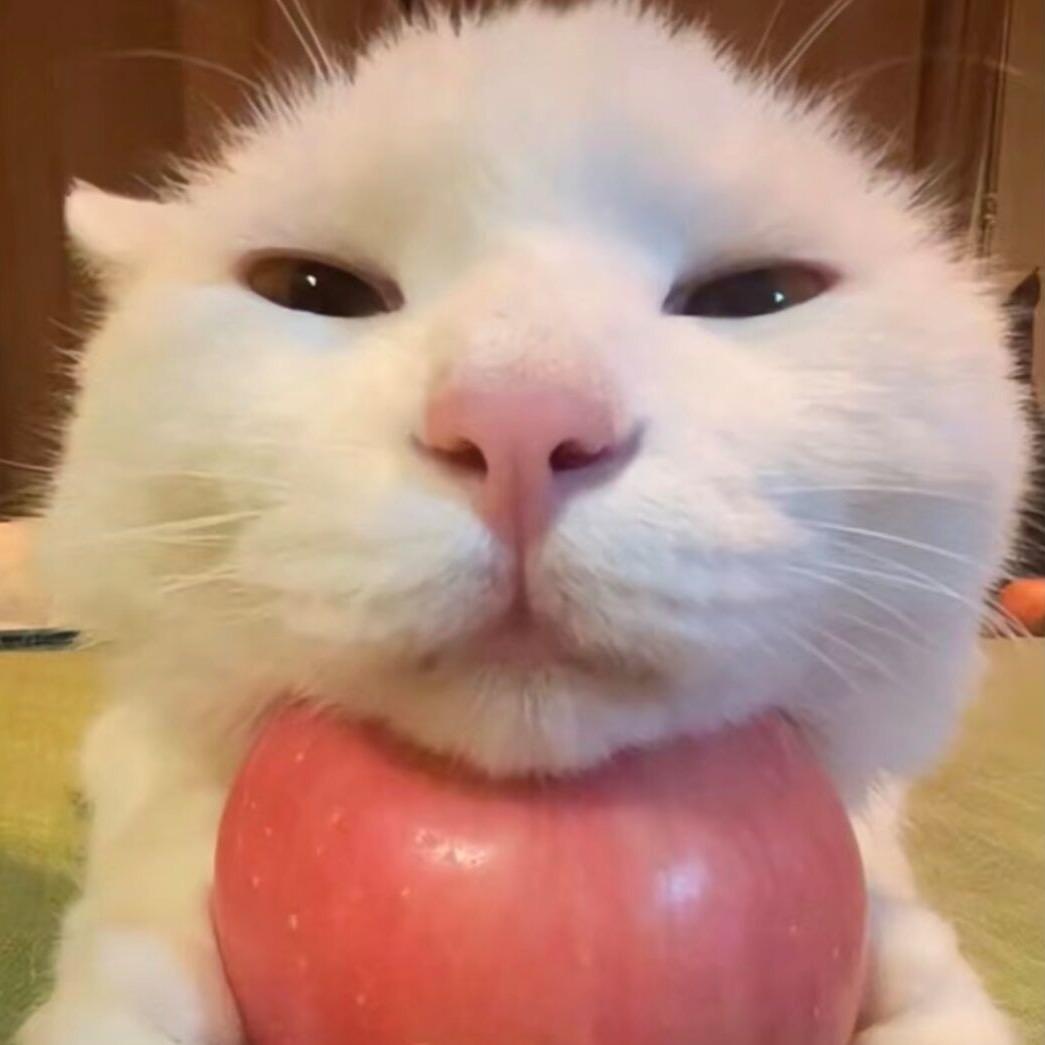 喵喵