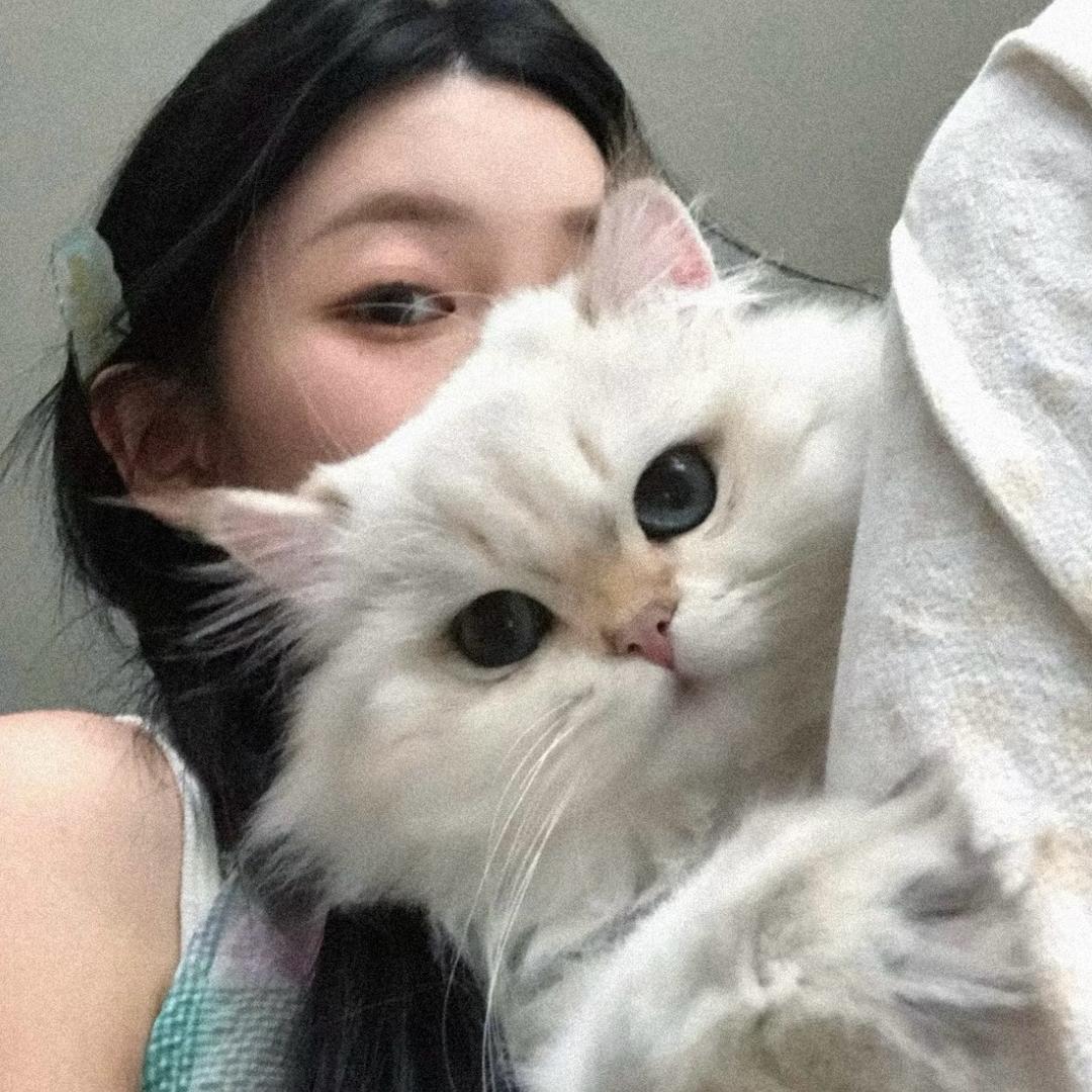 鱼头y.