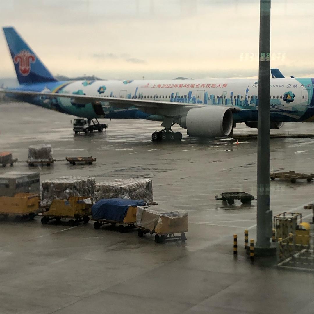 开狗狗车的文叔