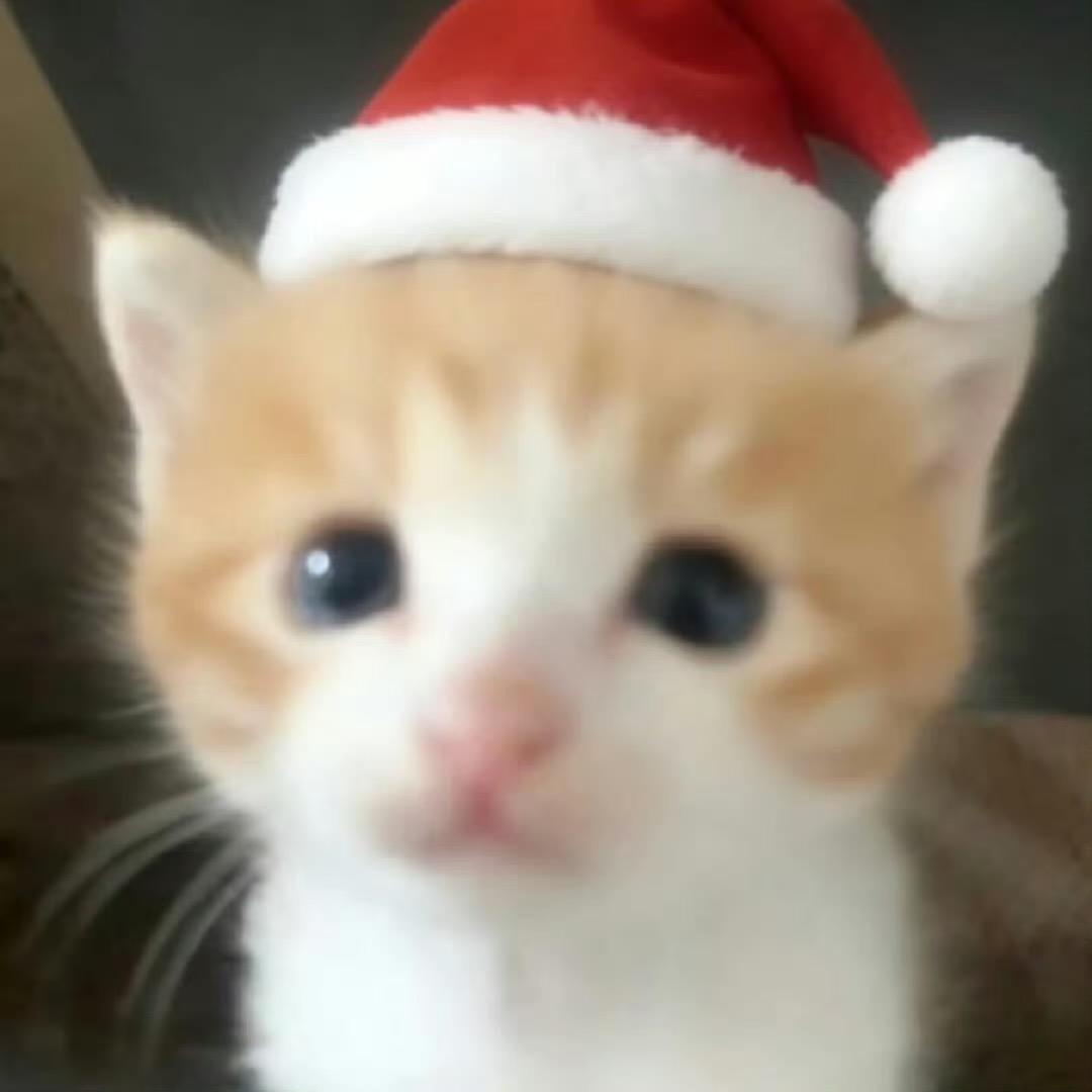 愛.