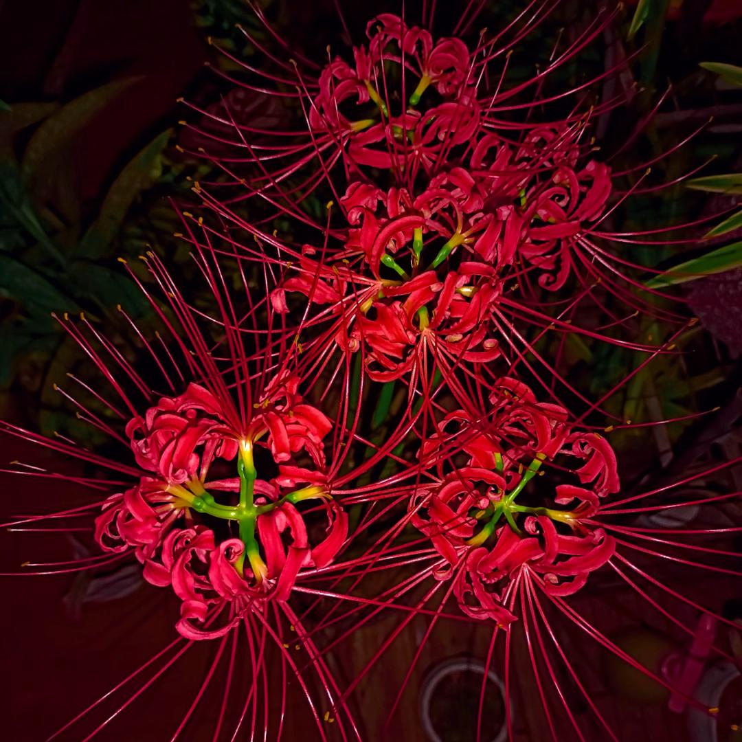 时间带不走伤害、