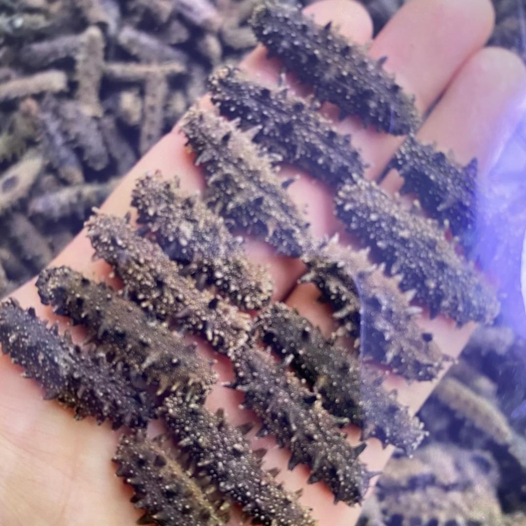 大连胖冬冬工厂