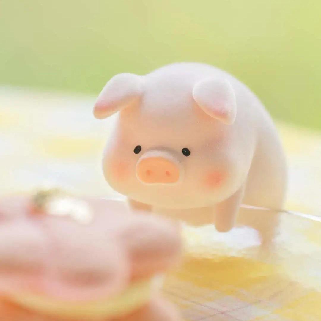 小🐷快跑