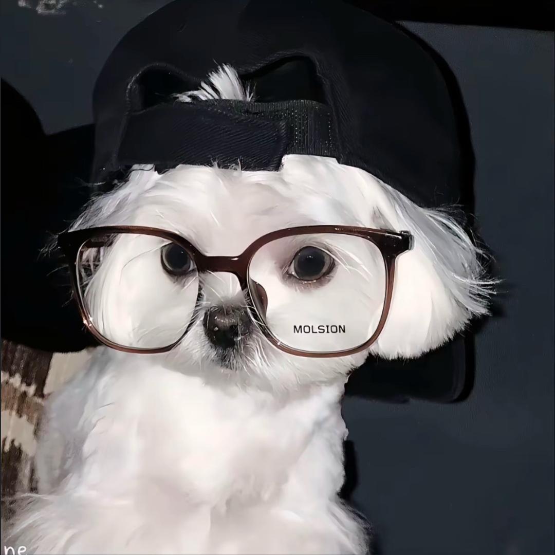 ：十六