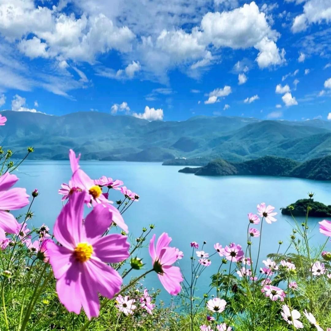 香格里拉泸沽湖玉龙雪山纯玩推荐
