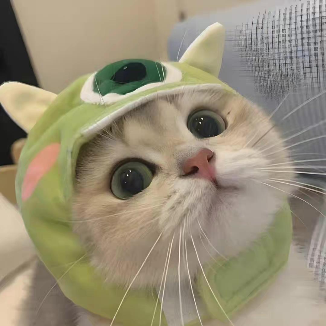 雅澜萍塔塔