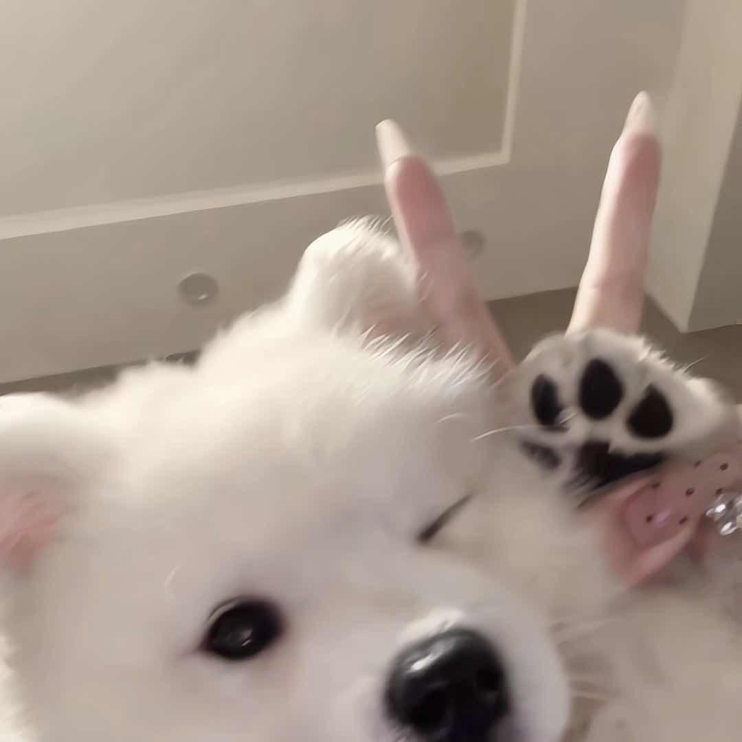 你在心上.