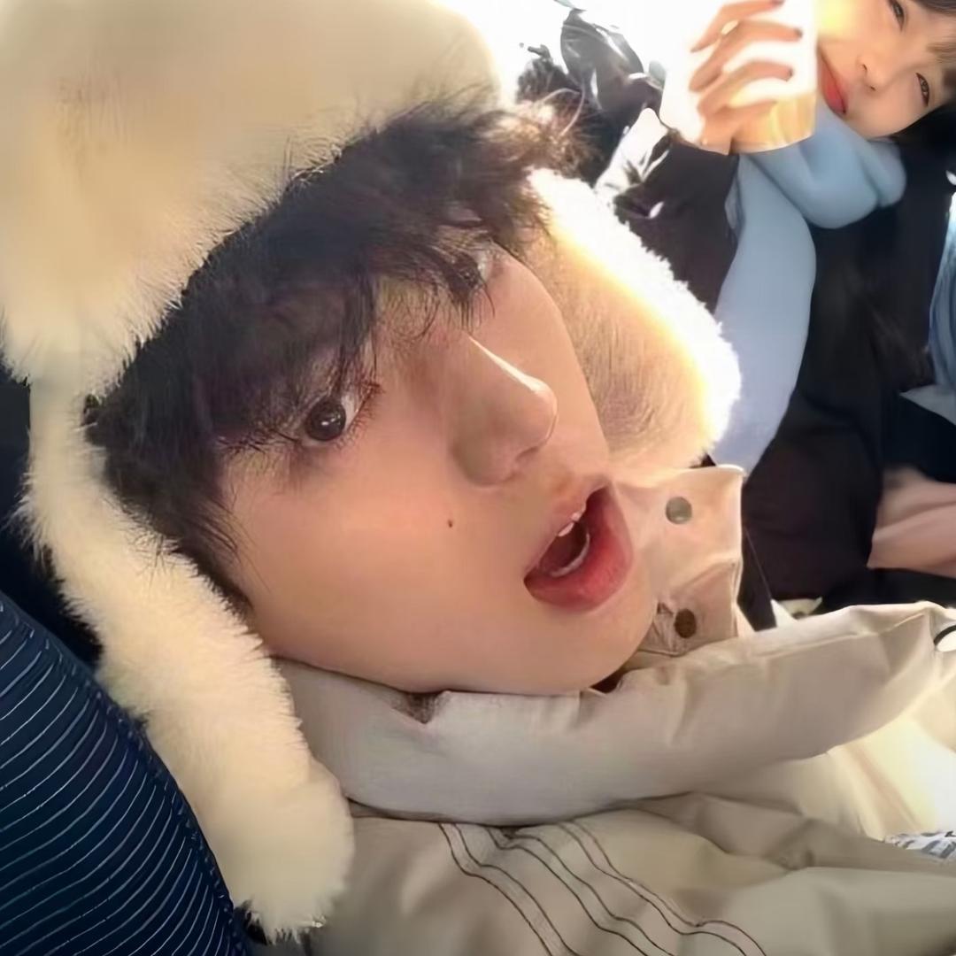 白鹤