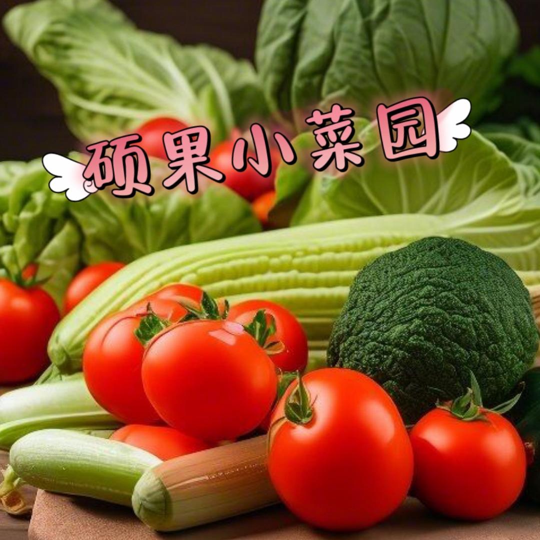 硕果小菜园