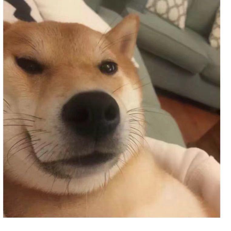 我是小熊
