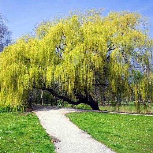 梦达🇨🇳🌾🌾🌾777