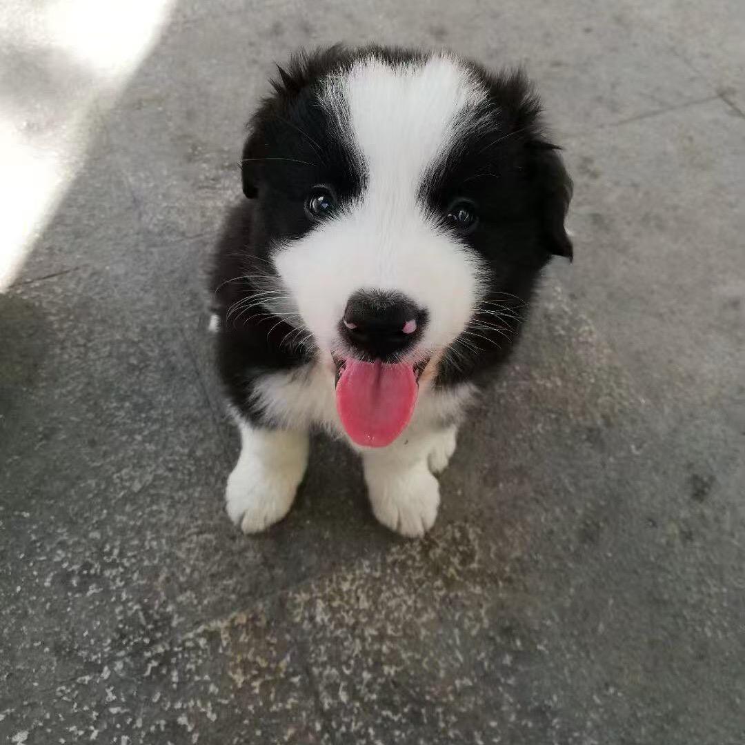 门门
