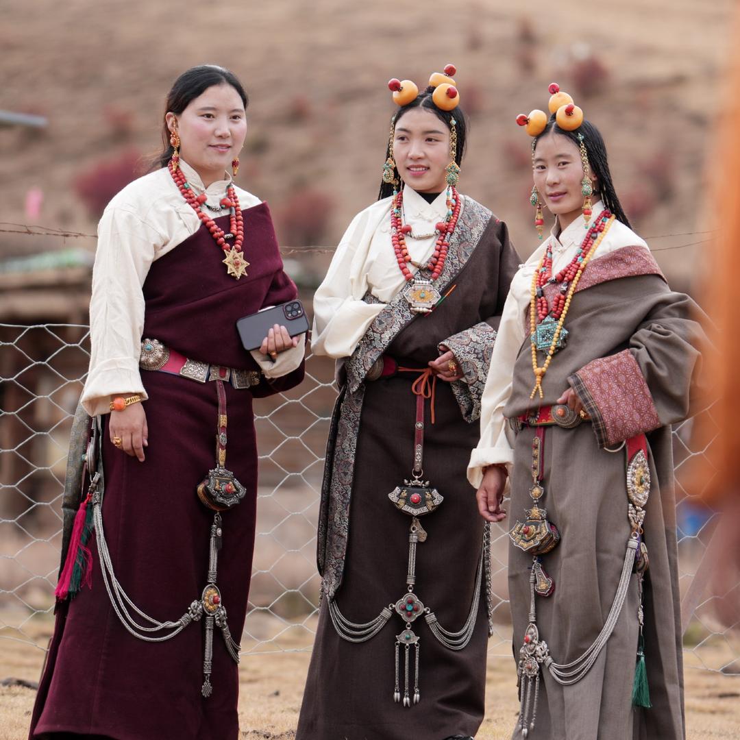 zh ga xi🎋