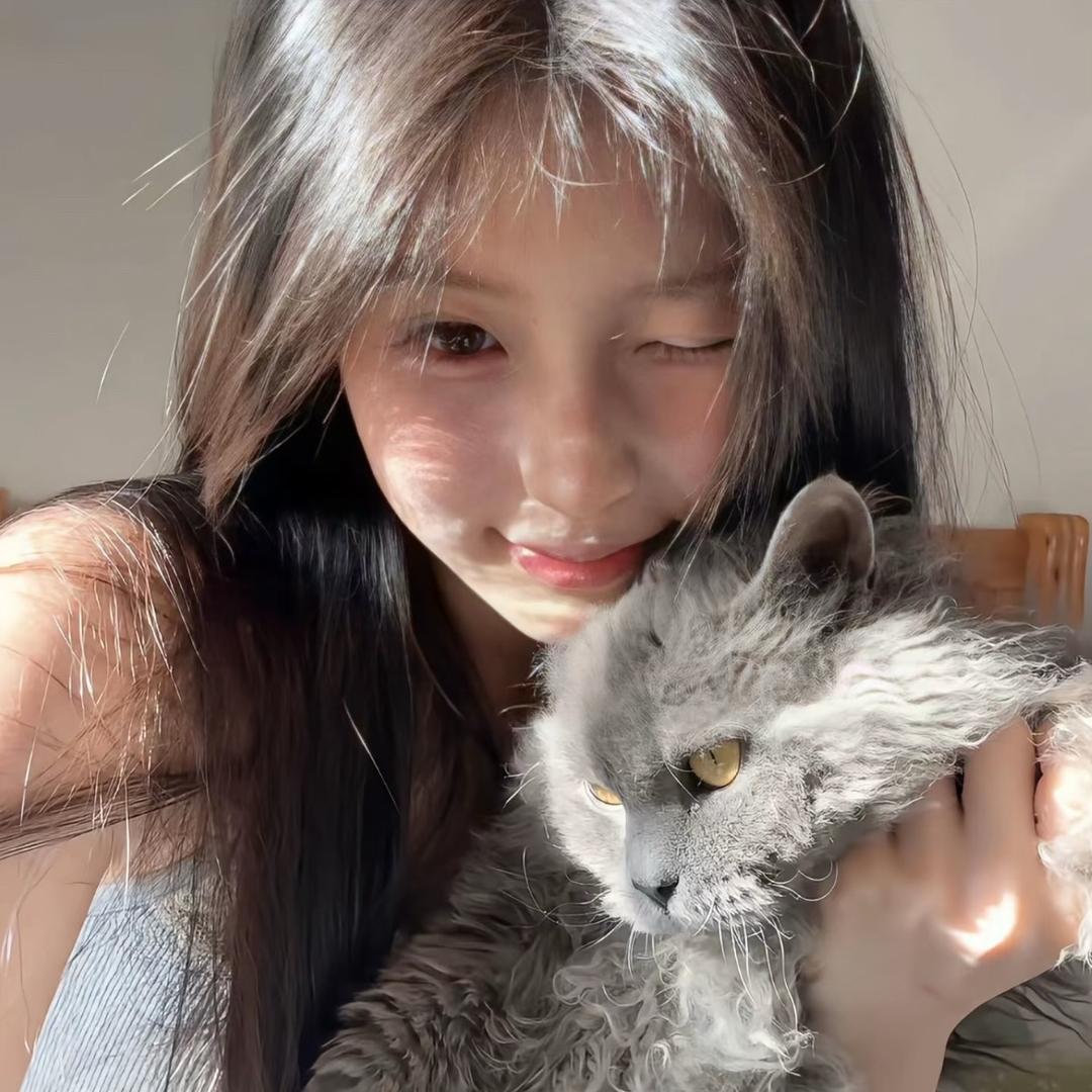 小羊o椰