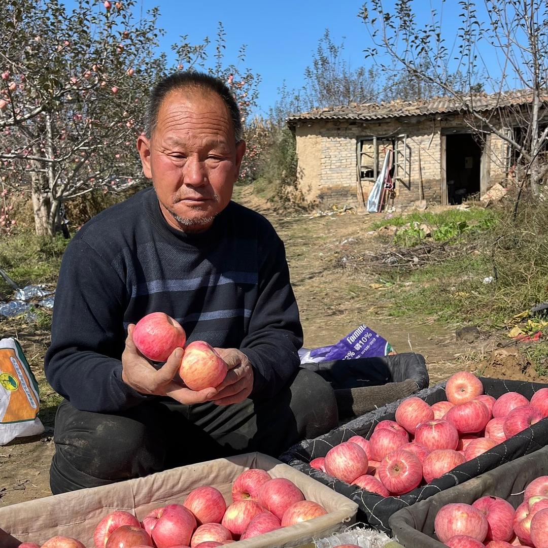 农村苹果大姐