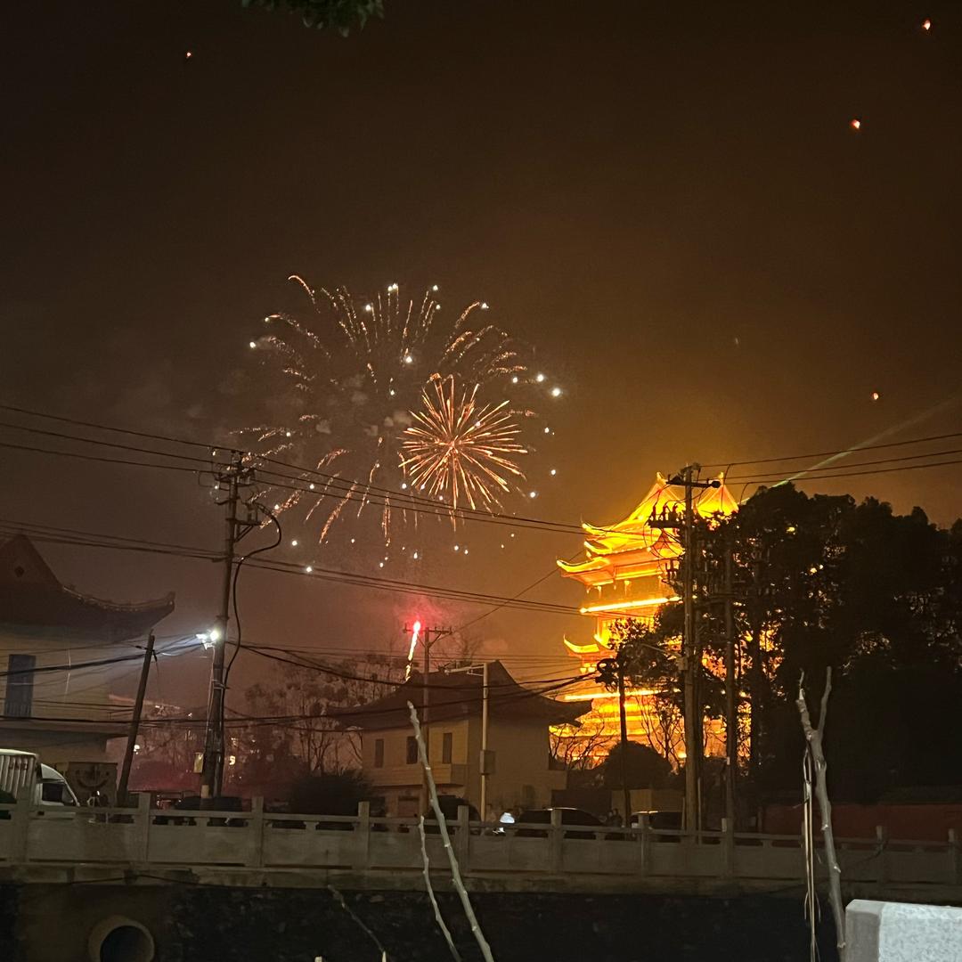 黑玫瑰