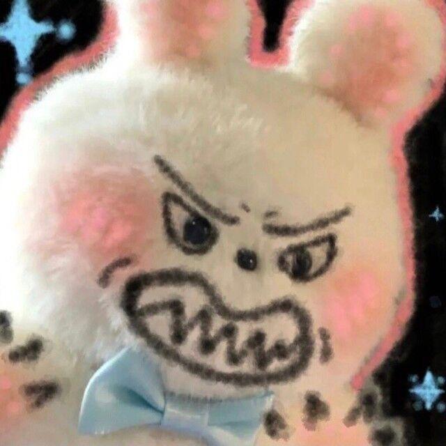 宇宙兔