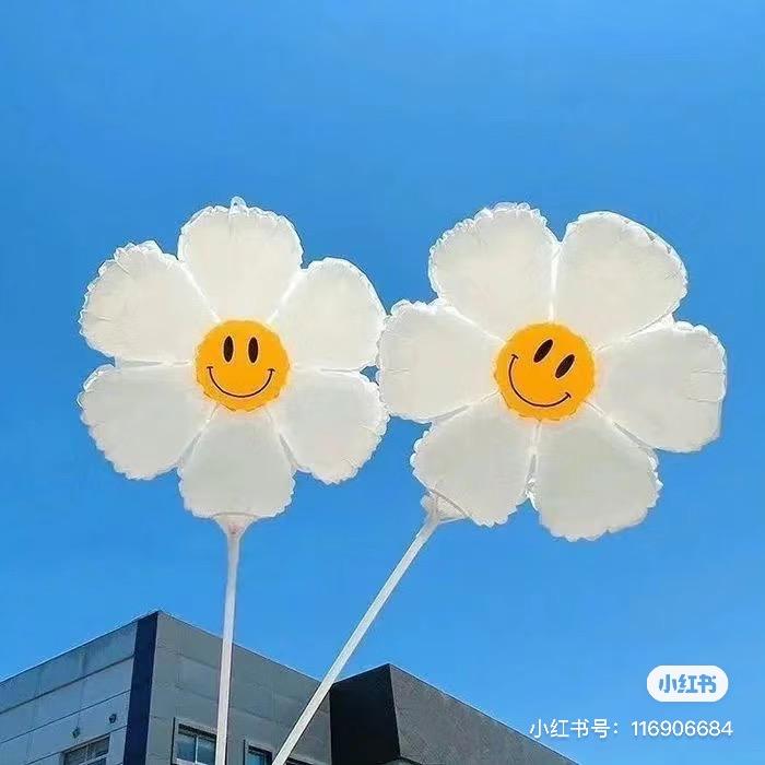 十安