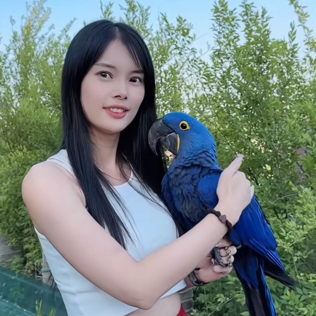 鹦鹉小肥姑