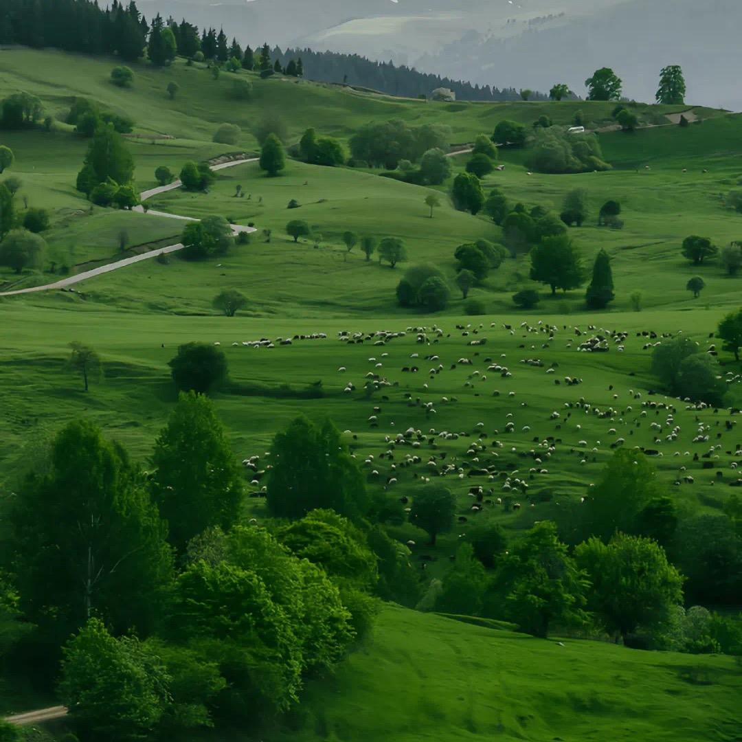 叮叮吖🦋（十点 30 分）