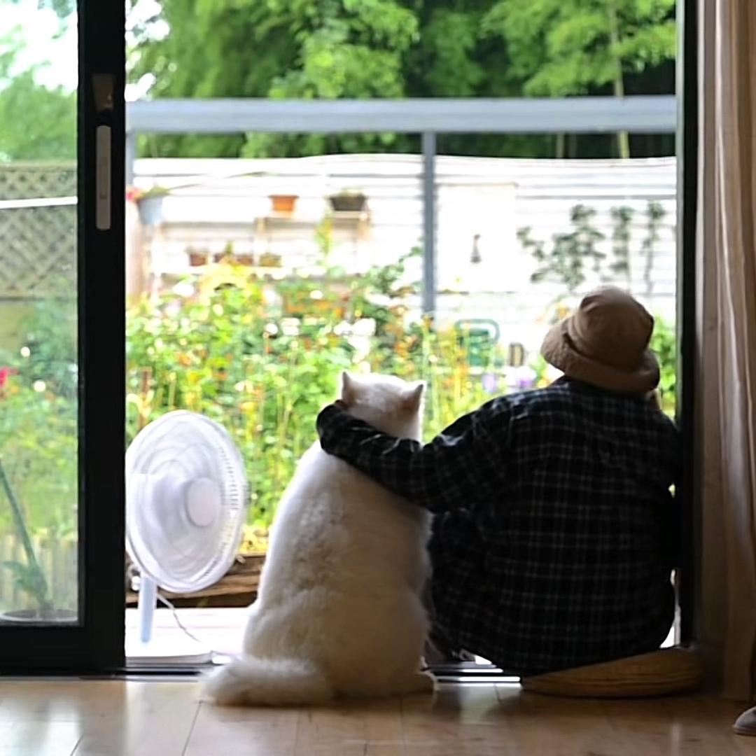 猫叔的院子