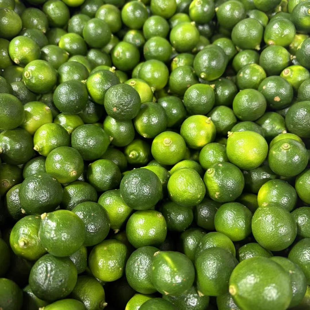 鸣轩水果批发供应链