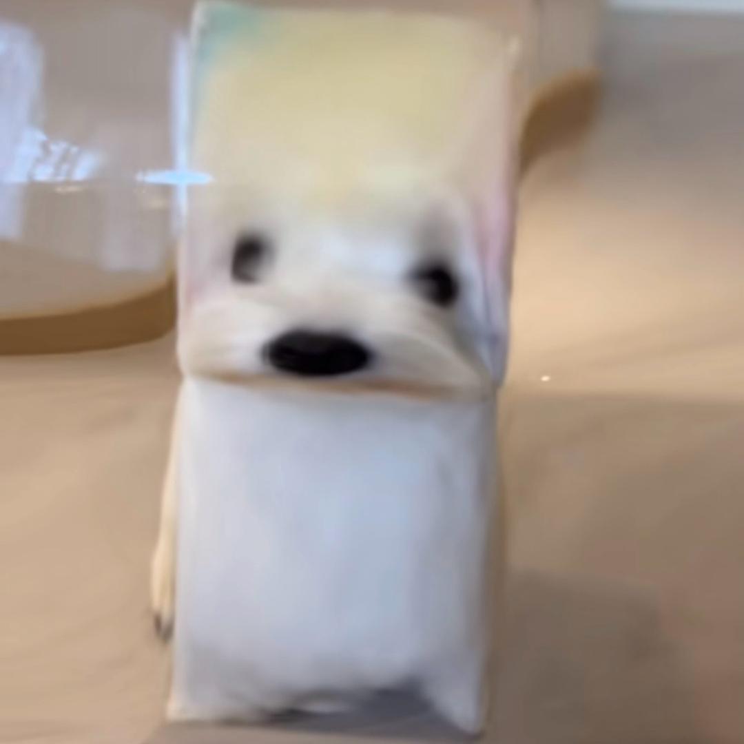 陕西M0nesY