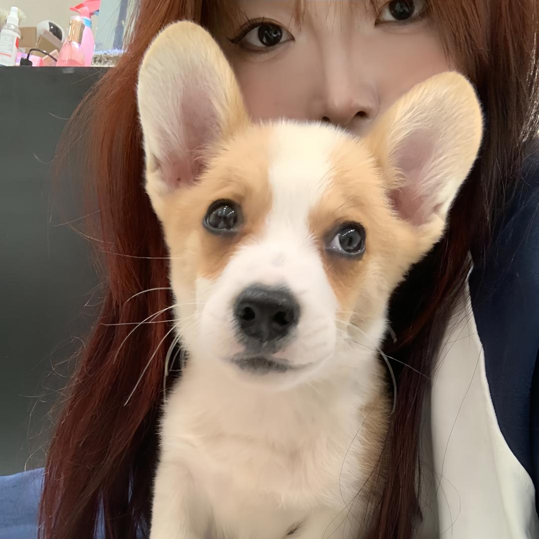 不爱出门