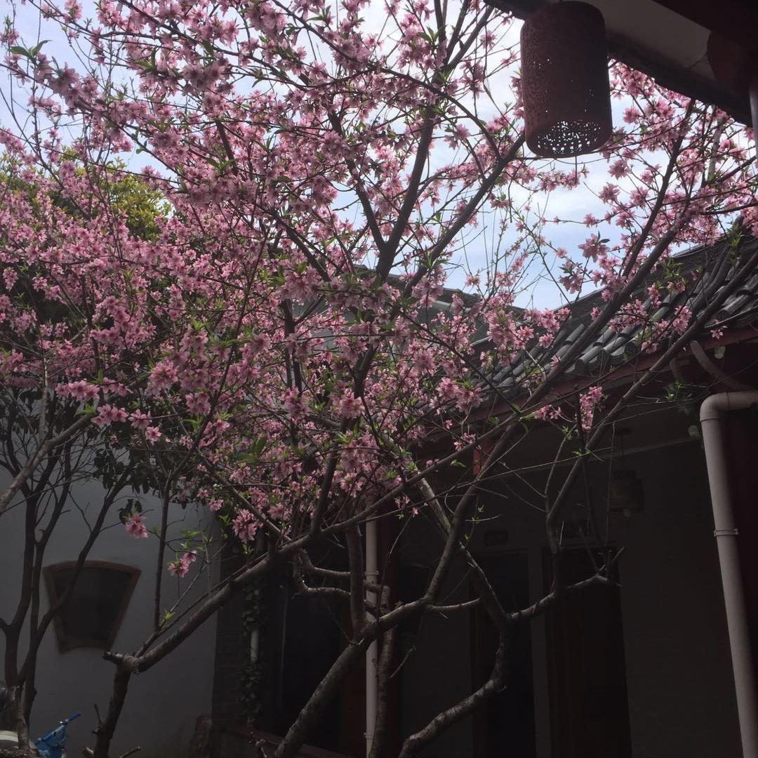 🌈一场相遇，一生铭记🌈