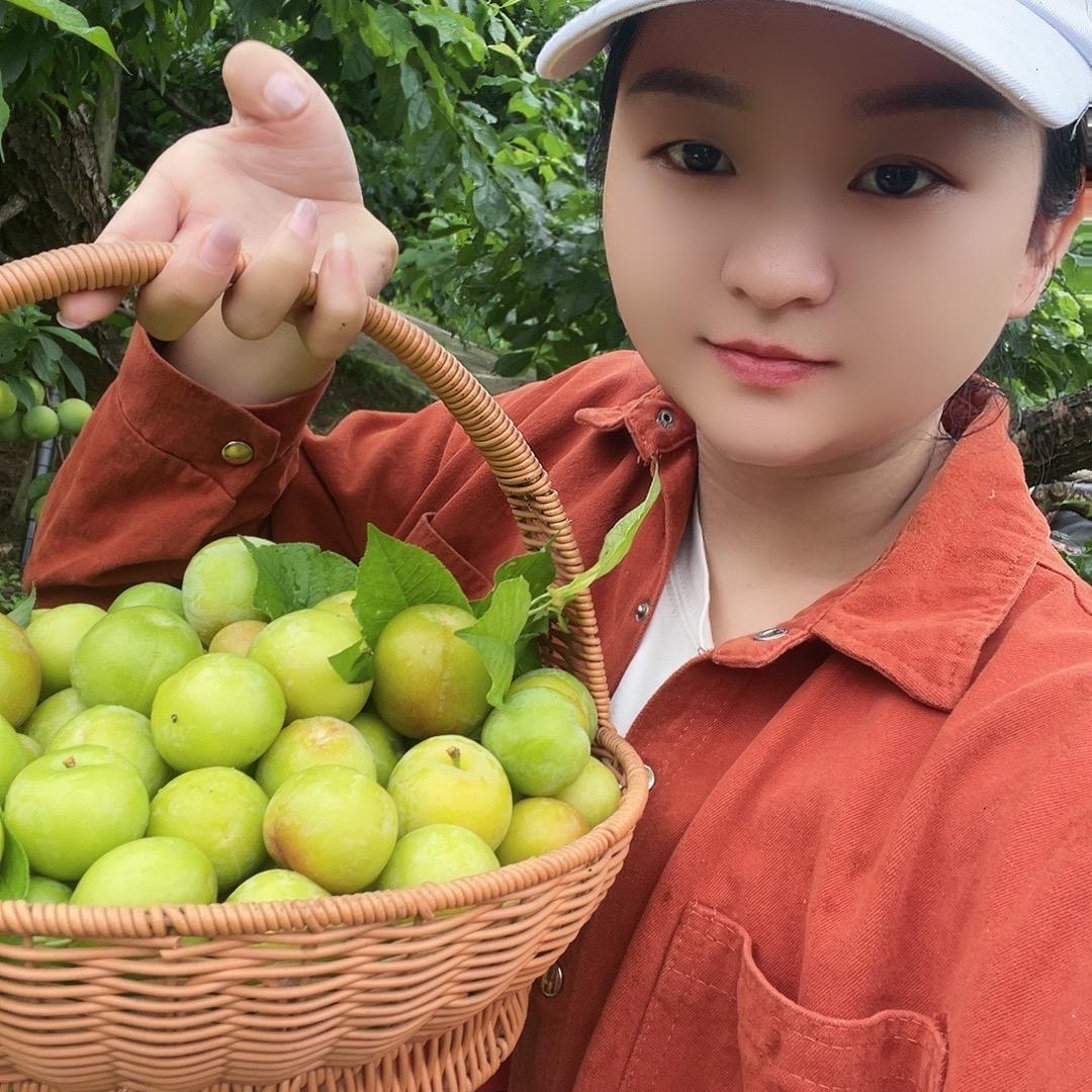 赵菇凉（果鲜坊）