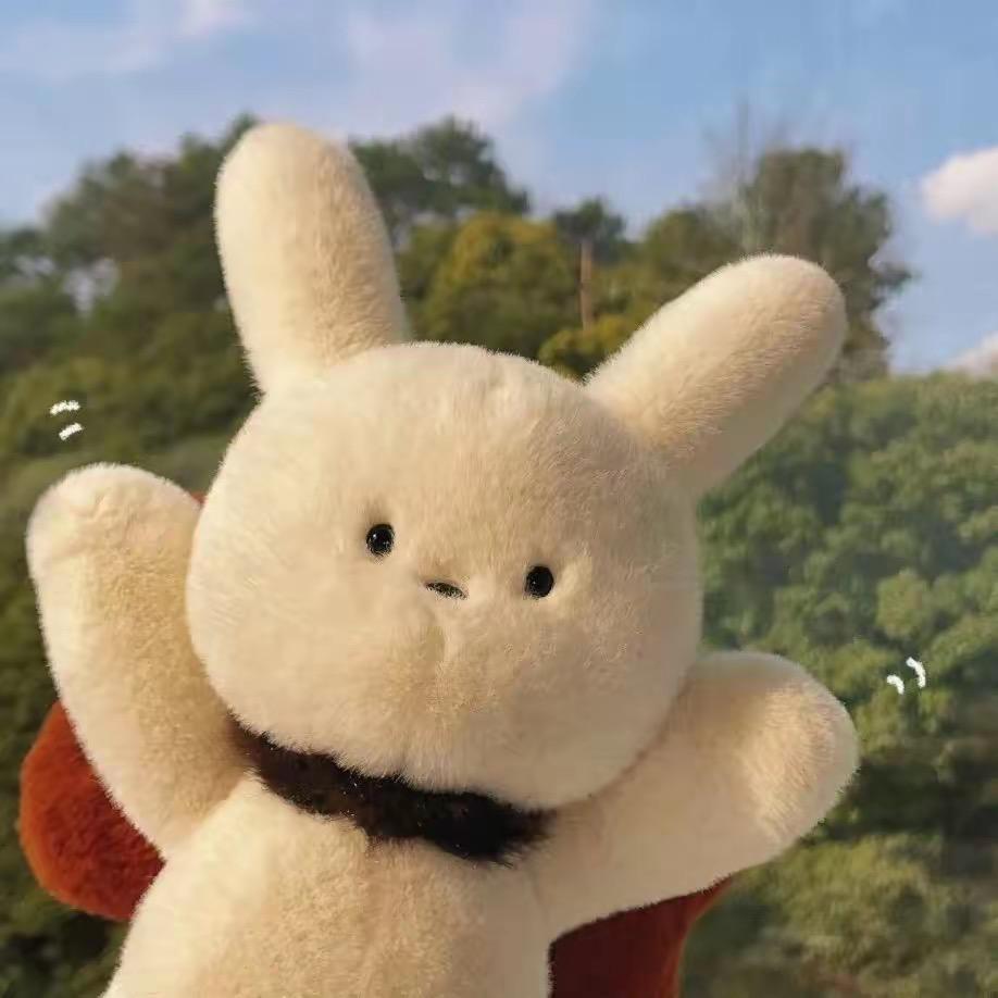 愤怒兔
