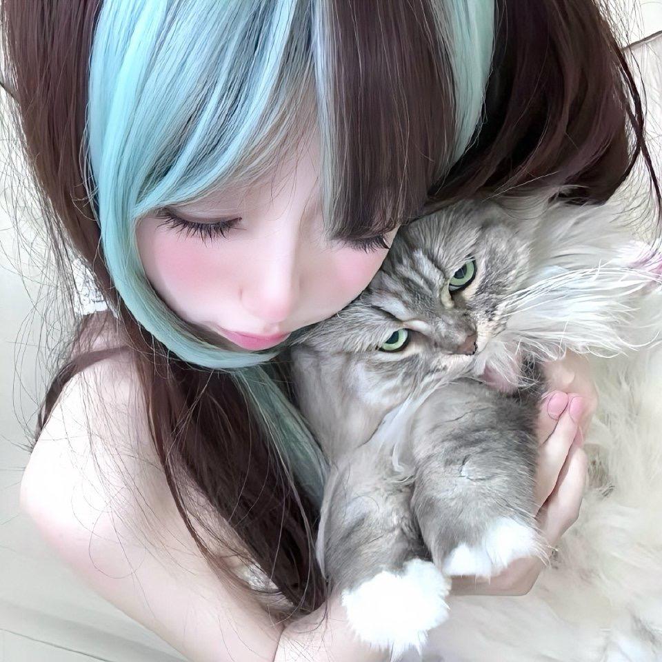 小猫举铁