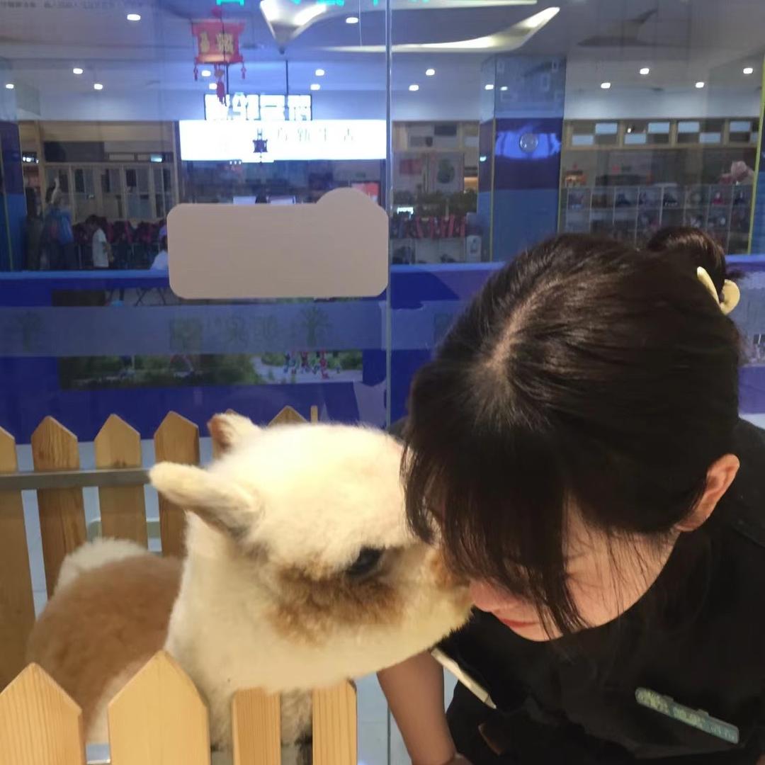 丹丹🐱🐶