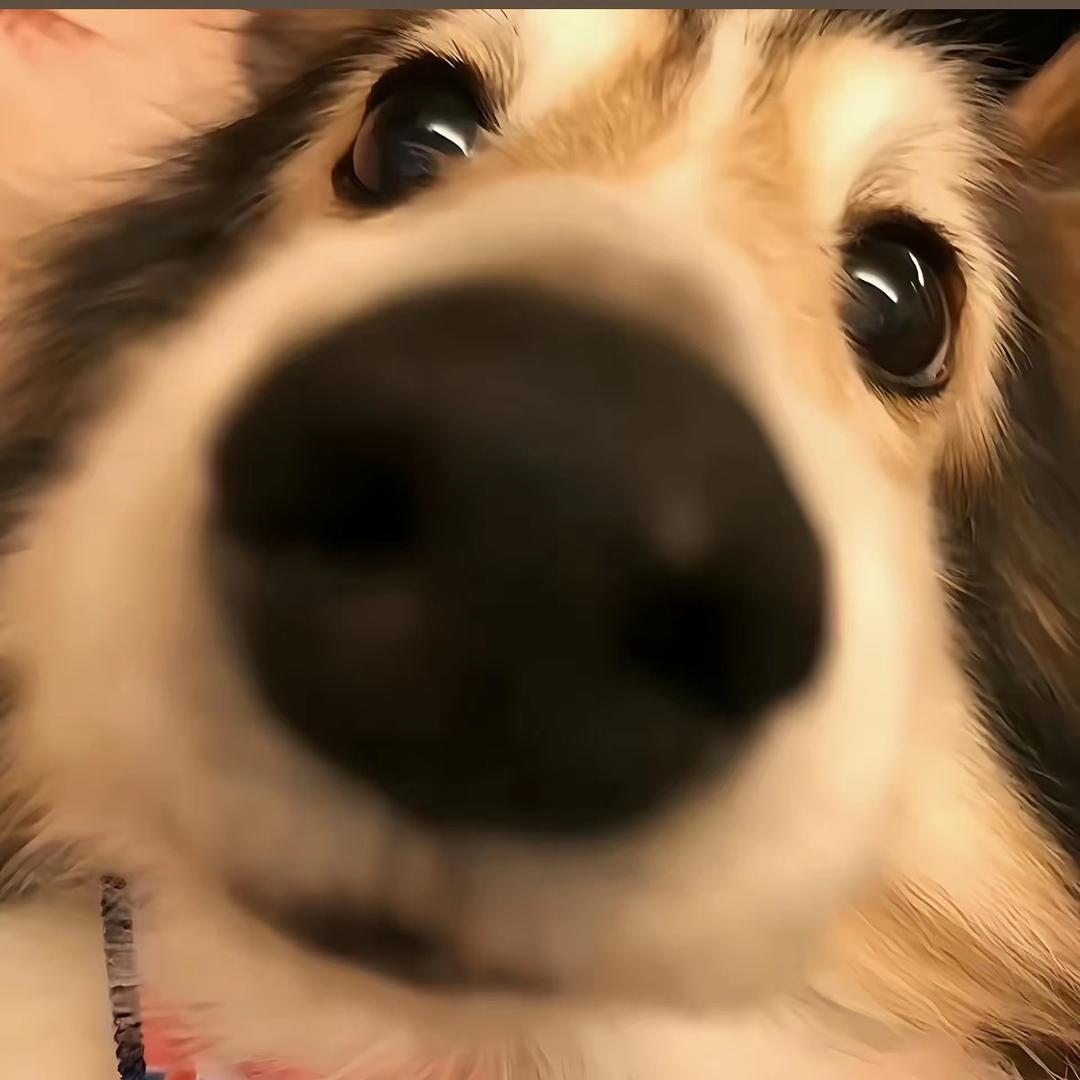 哈小点！