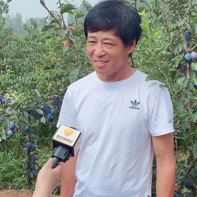 盛鑫农场(葫芦哥)