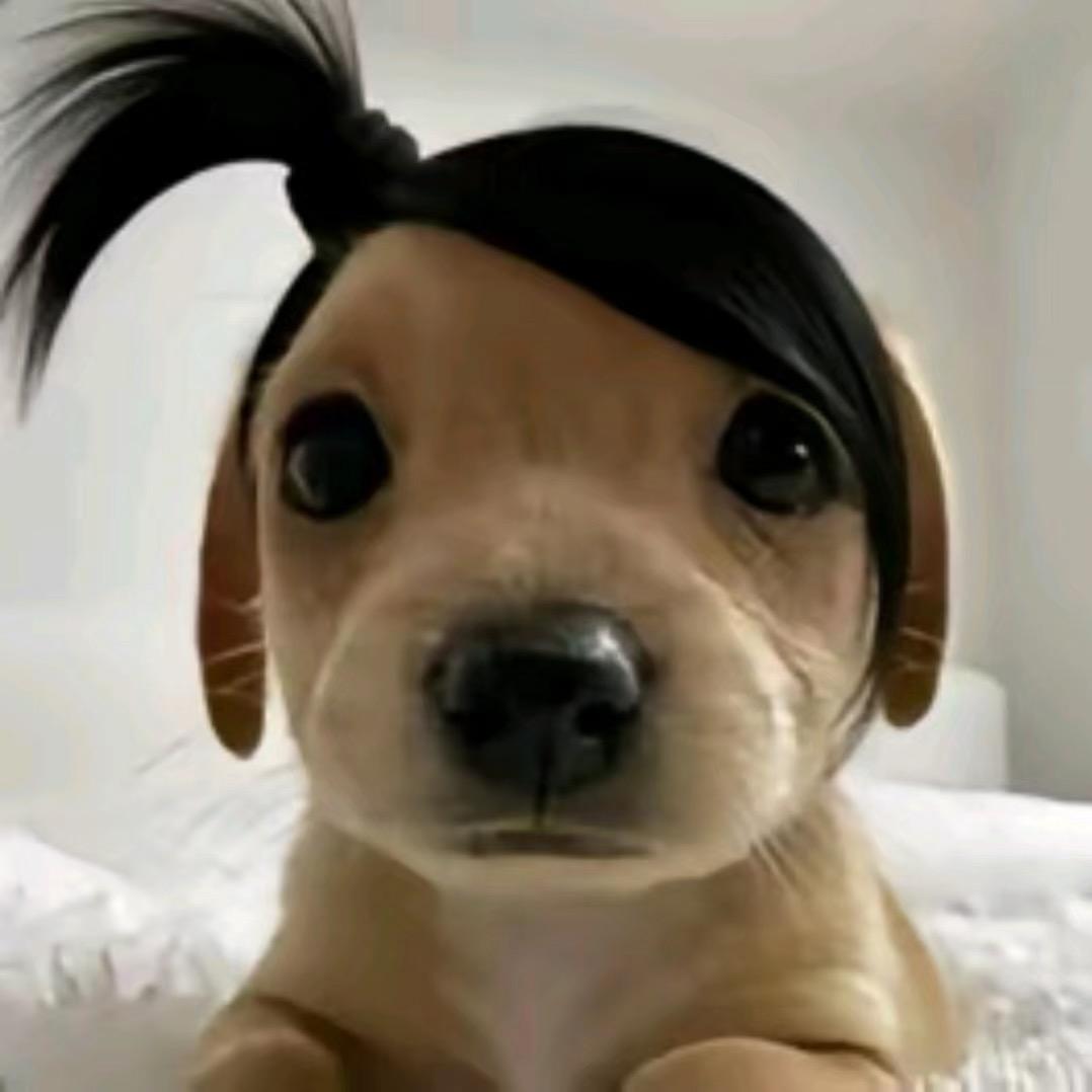 服了什么狗屎头像