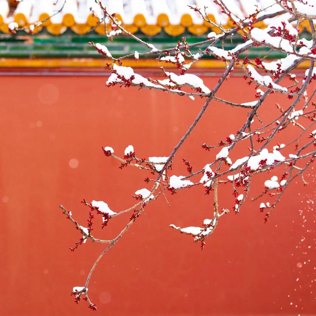 优雅的退场