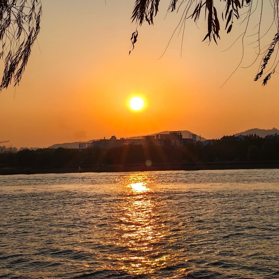 🍀🍀🍀🍀🍀🍀🍀